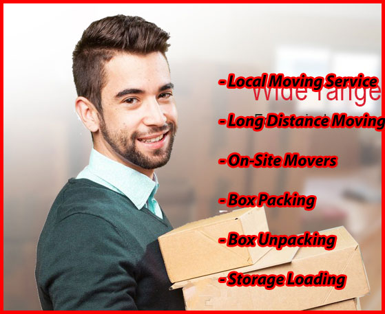 Packers And Movers Noida Sector 29